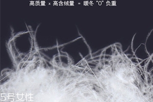 lets diet羽絨褲多少錢？lets diet羽絨褲保暖又修身