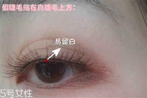 假睫毛是貼在上面還是下面？貼假睫毛的常見錯誤