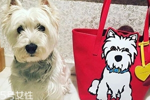 marc tetro是什么牌子？美國(guó)高性價(jià)比包包品牌