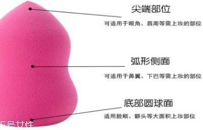 立體化妝粉撲有哪些用途？小身材大功效