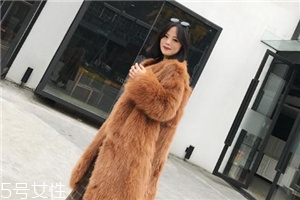 皮草和貂哪個(gè)貴？它們的價(jià)值你清楚嗎