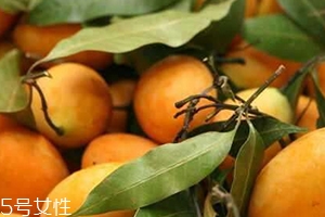 枇杷芒多少錢一斤？品質(zhì)越好價格越貴
