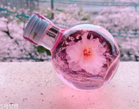 奈良金箔櫻花酒多少錢？奈良櫻花酒好喝嗎