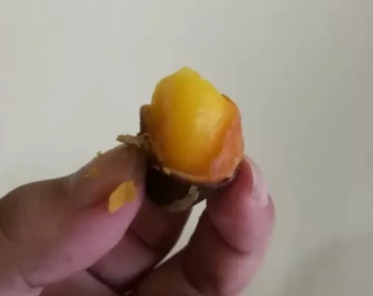 鳳眼果多少錢一斤？觀賞和口感兼具的鳳眼果