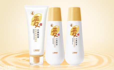 親潤和袋鼠媽媽哪個好用？孕婦專用品牌
