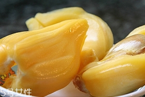 榴蓮蜜哪里能吃？哪里不能吃