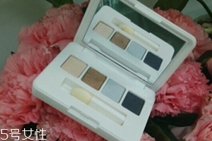 雅詩(shī)蘭黛眼影盤怎么用？