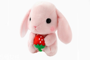 AMUSE玩偶是哪個(gè)國(guó)家的牌子？東京御宅族文化商品