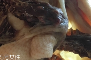 板鴨怎么做好吃？這樣做香氣撲鼻