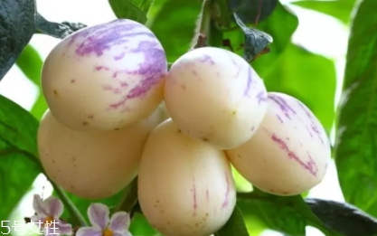 香瓜茄孕婦可以吃嗎？香瓜茄功效多
