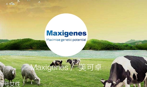 藍胖子奶粉和德運奶粉哪個好？