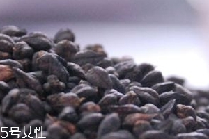 黑苦蕎茶上火嗎？蒸煮法苦蕎茶不上火