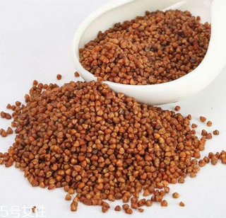 黑苦蕎茶上火嗎？蒸煮法苦蕎茶不上火