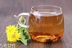 蒲公英茶可以天天喝嗎？不要長期喝