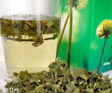 蒲公英茶可以天天喝嗎？不要長期喝