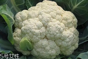 花椰菜可以生吃嗎？熱水殺毒可食用