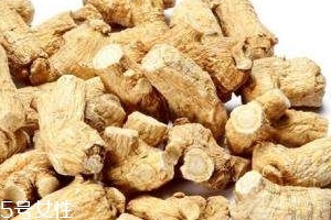 西洋參是哪里產(chǎn)的？長白山為主要產(chǎn)地