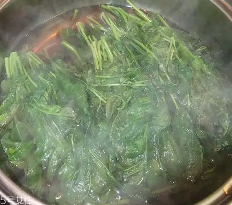 香椿涼拌怎么做好吃？超級簡單的3道開胃菜