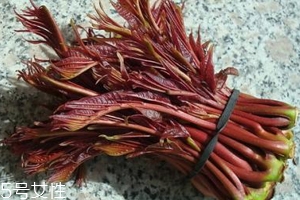 香椿涼拌怎么做好吃？超級簡單的3道開胃菜