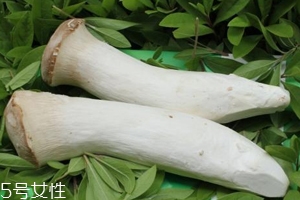 杏鮑菇熟了是什么樣？變軟了就能吃