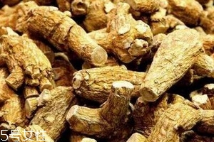 西洋參會過敏嗎？不排除這種可能