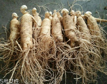 西洋參會推遲月經(jīng)嗎？這個是有可能的