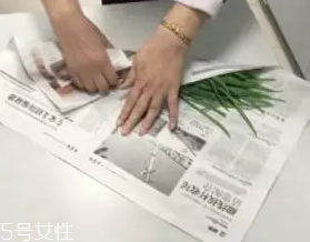 韭菜怎么保存時間長？真空保存最持久