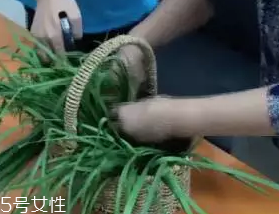 韭菜怎么保存時間長？真空保存最持久
