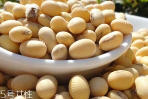 黃豆泡醋黃豆要煮熟嗎？生熟都可以泡