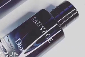 迪奧曠野和桀驁哪個(gè)好？曠野香水適合暖男