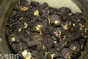 黑枸杞還還是紅枸杞好？各有千秋