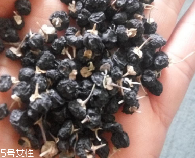 黑枸杞去濕氣嗎？沒有這個功效