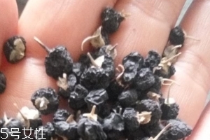 黑枸杞為什么是藍(lán)色？花青素的原因