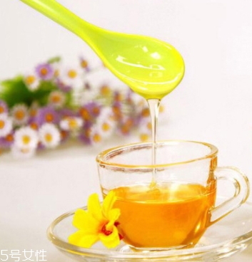 麥盧卡蜂蜜哪個(gè)牌子好？