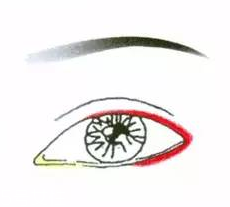 先畫眼影還是先畫眼線？先畫眼影不會讓眼線暈掉