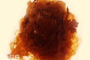 胖大?？梢院筒枞~一起泡嗎