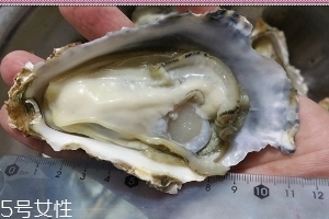 生蠔會(huì)有寄生蟲嗎？不生吃就沒關(guān)系