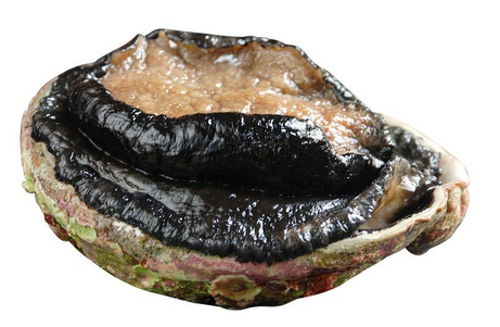 鮑魚罐頭怎么吃？這樣吃最好