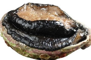 鮑魚(yú)罐頭怎么打開(kāi)？像八寶粥一樣拉開(kāi)