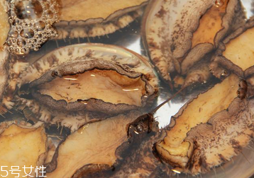 鮑魚(yú)罐頭怎么打開(kāi)？像八寶粥一樣拉開(kāi)