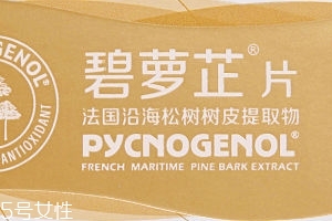 碧蘿芷到底好不好？帶你了解碧蘿芷