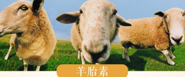 羊胎素和玻尿酸哪個好？
