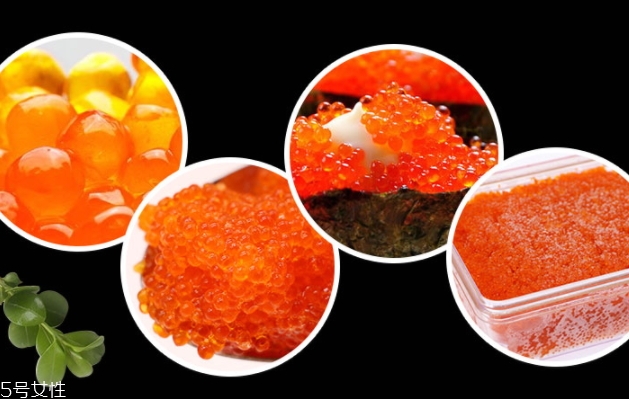 飛魚籽是什么魚的籽？壽司美味的秘訣
