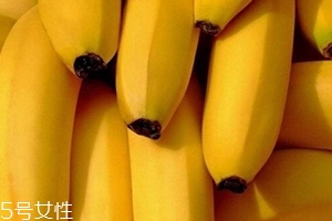 仙人蕉多少錢一斤？