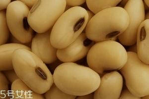 卵磷脂通乳嗎？這個還不一定