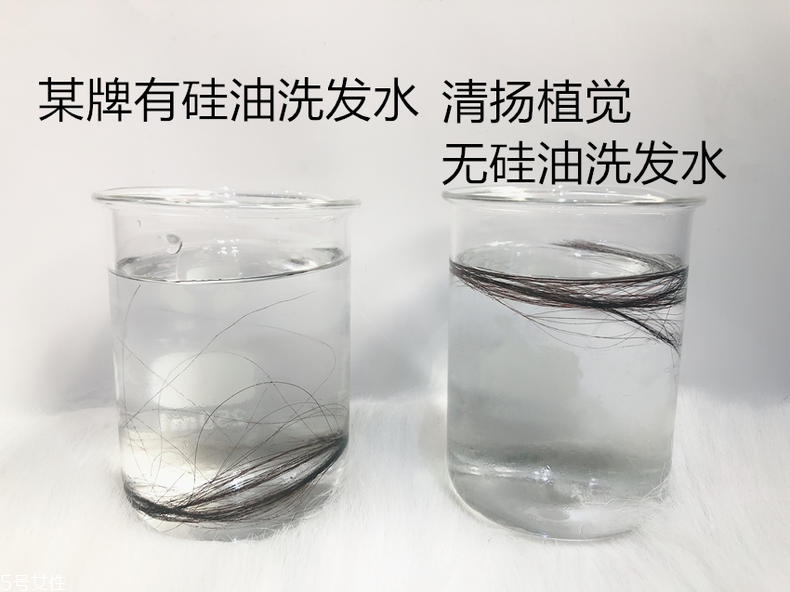 清揚0硅油洗發(fā)水好用嗎？自帶高級感香調