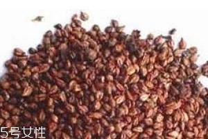 葡萄籽是飯前吃還是飯后吃？最全吃法
