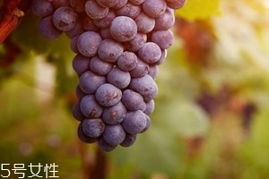 葡萄籽會影響月經(jīng)嗎？吃法正確就不會