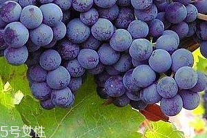葡萄籽會長痘嗎？沒有這個情況
