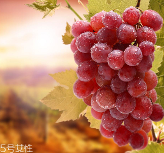 葡萄籽會(huì)影響睡眠嗎？這個(gè)肯定不會(huì)